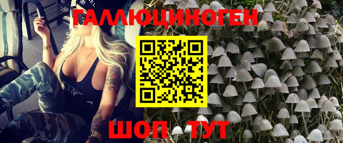 Псилоцибиновые грибы Psilocybine cubensis Усолье-Сибирское